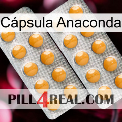 Cápsula Anaconda levitra2